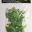 Zoo Med Natural Bush Amazonian Phyllo Plants Green 14in SM - Reptile