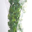 Zoo Med Natural Bush Amazonian Phyllo Plants Green 22in LG - Reptile