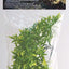 Zoo Med Natural Bush Bolivian Croton Plants Green 14in SM - Reptile