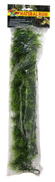 Zoo Med Natural Bush Cashuarina Plants Green LG - Reptile