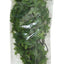 Zoo Med Natural Bush Congo Ivy Plants Green 18in MD - Reptile