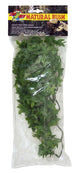 Zoo Med Natural Bush Congo Ivy Plants Green 18in MD - Reptile