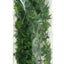 Zoo Med Natural Bush Congo Ivy Plants Green 22in LG