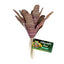 Zoo Med Naturalistic Flora Chestnut Bromeliad Terrarium Plant Purple Tan - Reptile