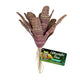 Zoo Med Naturalistic Flora Chestnut Bromeliad Terrarium Plant Purple Tan - Reptile