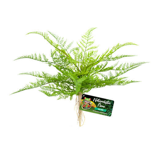 Zoo Med Naturalistic Flora Lace Fern Terrarium Plant Green Tan - Reptile