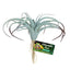 Zoo Med Naturalistic Flora Tillandsia Air Plant Terrarium Gray Tan - Reptile