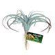 Zoo Med Naturalistic Flora Tillandsia Air Plant Terrarium Gray Tan - Reptile