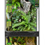 Zoo Med Paludarium Terrarium with Nano Aquarium Habitat Black Clear 12 in x 24 4 gal - Reptile