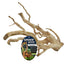 Zoo Med Spider Wood Brown SM - Reptile