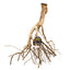 Zoo Med Talawa Mangrove Root XL - Reptile