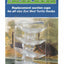 Zoo Med Turtle Dock Suction Cups Clear 4 Count - Reptile